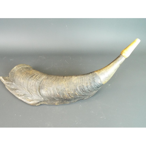 130 - Rams horn with carved bone mouthpiece. 16 inches long.