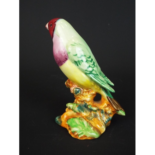 19 - Rare Beswick Gouldian finch (wings closed model) pattern number 1179 in excellent order, along with ... 