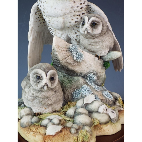 117 - Group study of Snowy Owl & Chicks set on a naturalistic setting raised on a shallow wooden plinth by... 