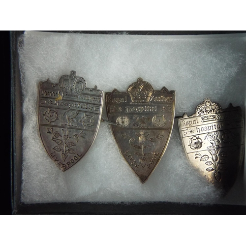 60 - Selection of Metal and Enamel plus Hallmarked Silver Liverpool Hospital badges. See photos