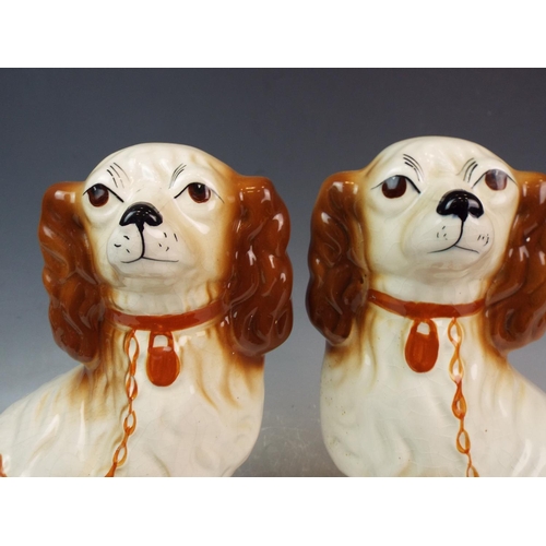 22 - A Pair of Stafforshire style spaniels standing 12