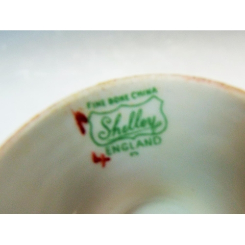 24 - A Shelley cup and saucer the cup is decorated to the inside with Thistles