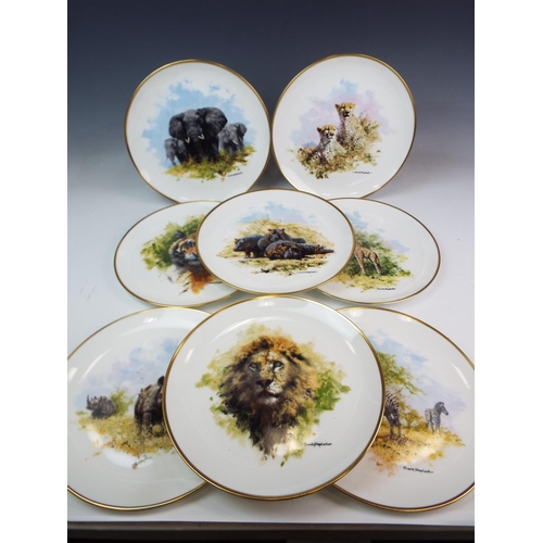 143 - 8 Wedgwood David Shephard wildlife collection plates 10.5