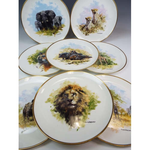 143 - 8 Wedgwood David Shephard wildlife collection plates 10.5