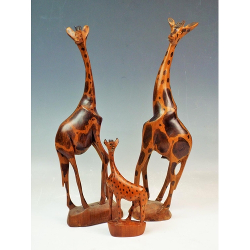 150 - 3 African carved wooden giraffe's.