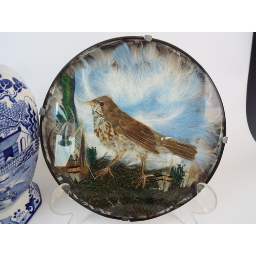 259 - Large Masons lidded jar in the willow pattern (a/f), a feather collage bird plate, limoges plates et... 