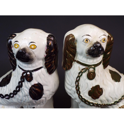 360 - Near pair of Staffordshire spaniels.