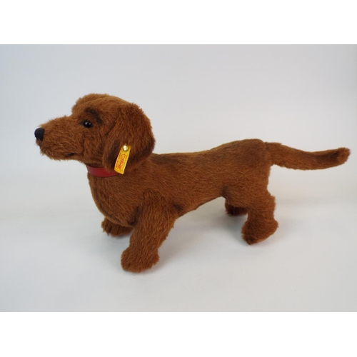 376 - Steiff Dachshund , 20