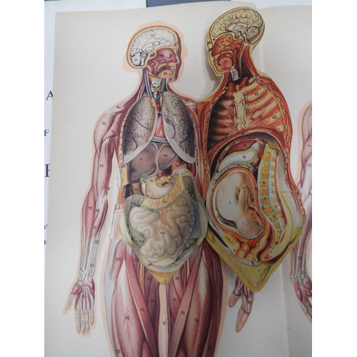 341 - Two Phillips Anatomical models of the Human body, with pull out charts and 3D page, together with a ... 