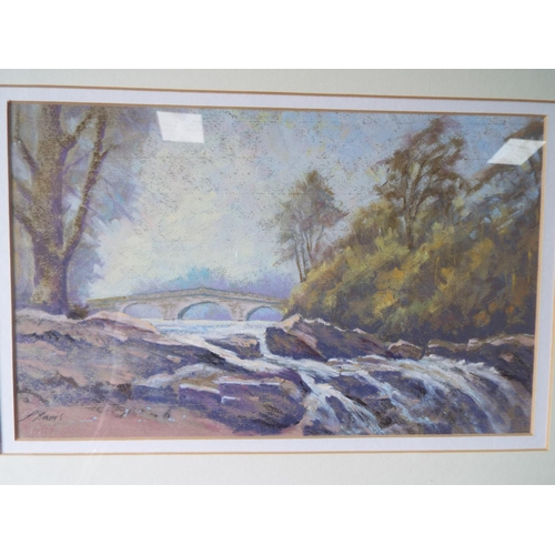 1041 - Acryllic by Jim Davies 'The Bridge at Clumber Park'   Framed and mounted.  22 x 17 inches see photo