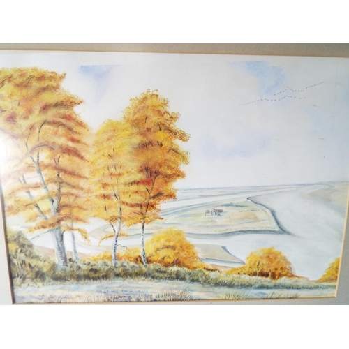 1047 - Framed and mounted watercolour of Read's Island in the Humber Esturary.   24 x 27 inches. See photos