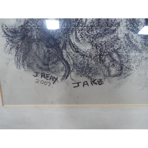 1050 - Pencil and Charcoal study of a Spaniel called 'Jake'  Framed under glass.  13 x 16 inches. See photo