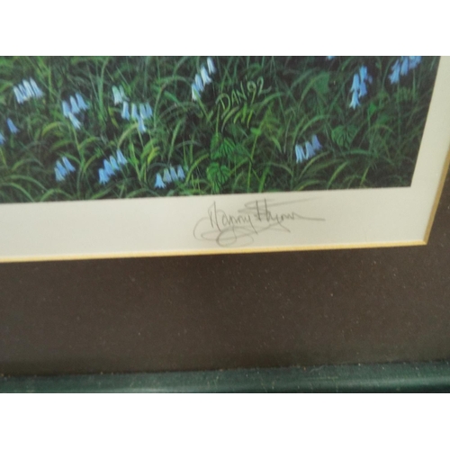 1068 - Framed and mounted print of a Bluebell Woodland. See photos