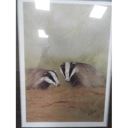 1076 - Four framed and mounted prints of British birds and wildlife. See photos