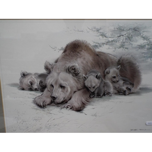 1077 - Framed and mounted print of Bear and cubs plus one of African Lion. Pine frames. See photos