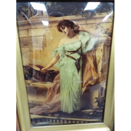 1093 - Framed Victorian Crystolium.  14 x 16 inches. See photo