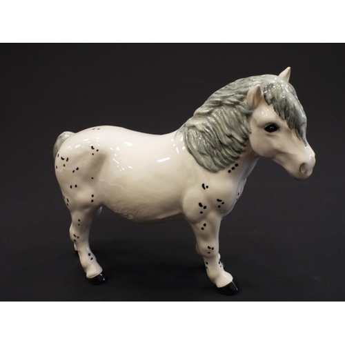 232 - Rare Beswick Ltd edition of 500 Spotted shetland pony.