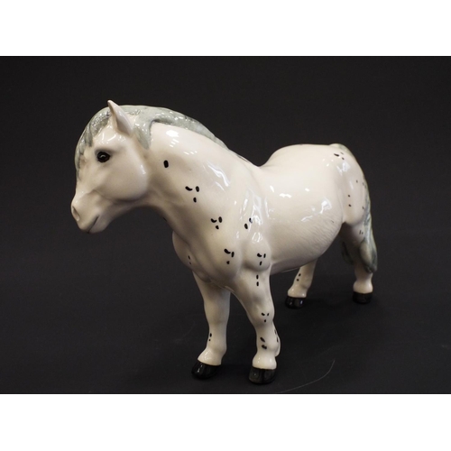 232 - Rare Beswick Ltd edition of 500 Spotted shetland pony.