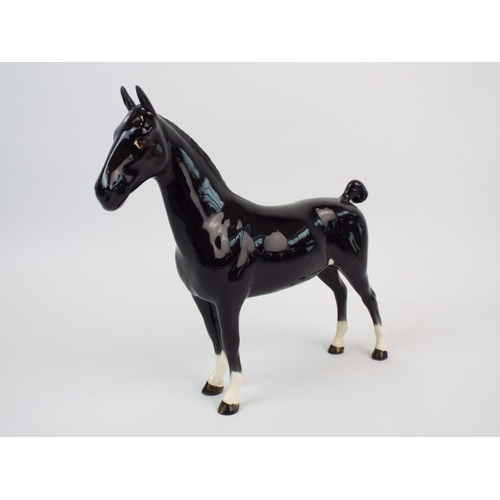 234 - Beswick champion Black magic of Nork Hackney horse Model,no 1361.