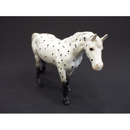 236 - Beswick spotted walking pony, Model no 1516.