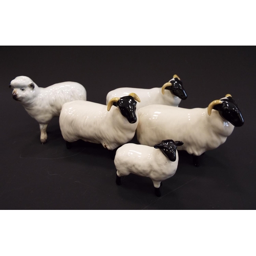 240 - 3 Beswick Rams and 2 Beswick sheep figurines,