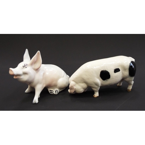 242 - Beswick Gloucester old spot pig model G230 in excellent condition plus 1 other Beswick pig (af).