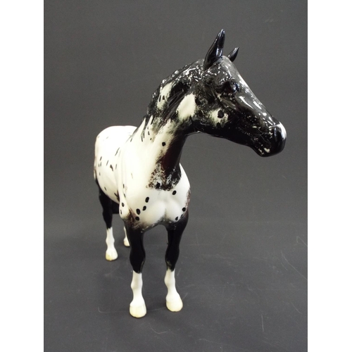 263 - Beswick Appaloosa stallion with dark face, Model no 1772.