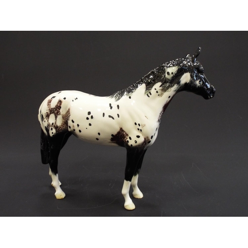 263 - Beswick Appaloosa stallion with dark face, Model no 1772.