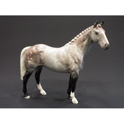 266 - Beswick Grey strawberry roan hunter horse, Model H260.