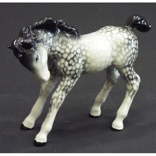 337 - Rare Beswick foal rocking horse grey, head down.