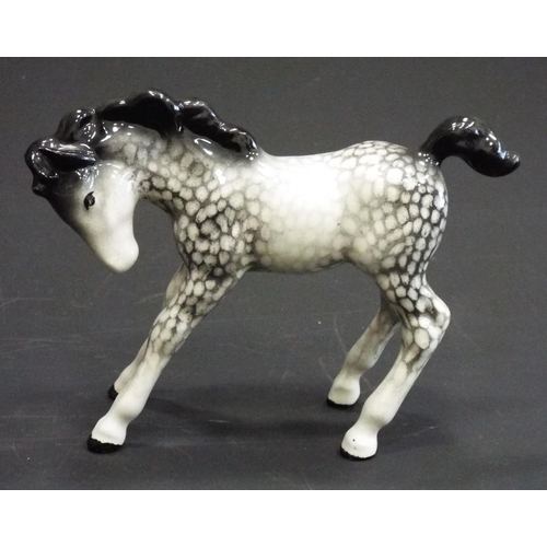 337 - Rare Beswick foal rocking horse grey, head down.