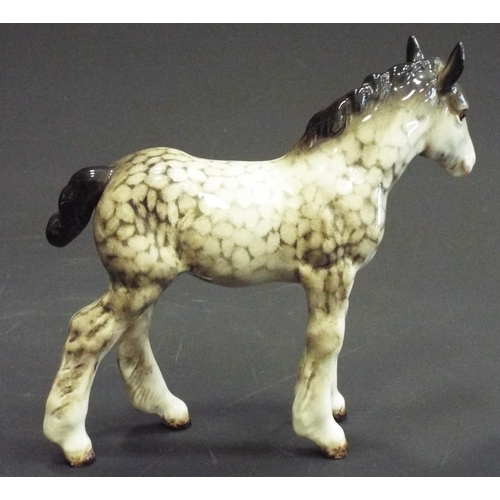 338 - Rare Beswick Shire foal in rocking horse grey, Model no 1053