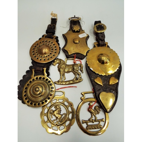 516 - Selection of quality vintage horse brasses.