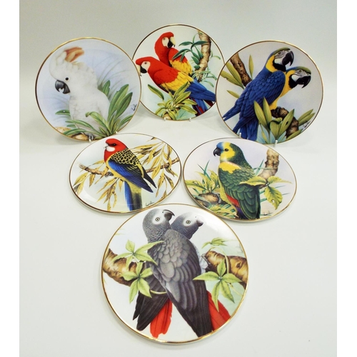 520 - 6 GWI Associates limited edition parrot plates.