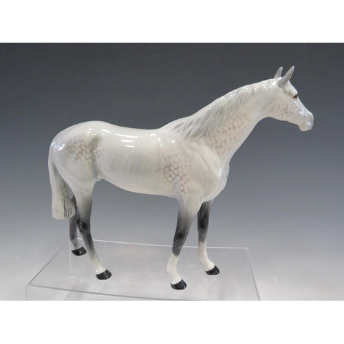 51 - Beswick Large Grey Racehorse  model 1564 in gloss glaze porcelain. . Excellent condition free from d... 