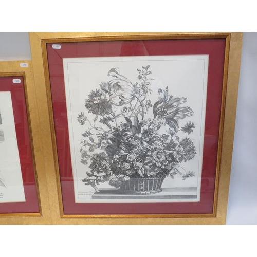 485 - Pair of Nicely framed classical French Horticultural prints under glass. Each measures approx 27 x 2... 