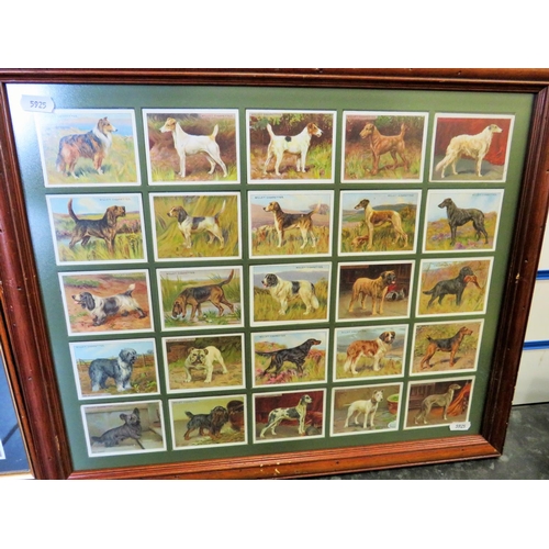 494 - Two Sets of vintage Wills Cigarette cards 'Dogs' from the 1930's era. Each framed and mounted under ... 