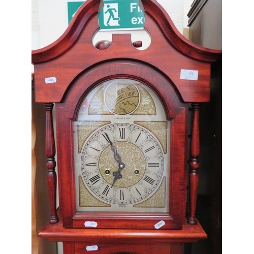 598 - Tempus Fugit, 31 day mechanical long case clock with faux weights . Working order. Chimes on the hou... 