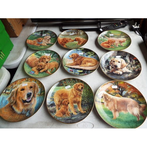 870 - 9 Danbury mint dog plates.