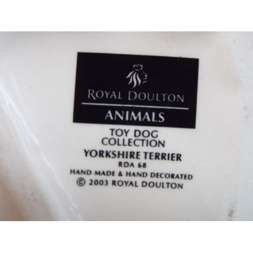 215 - Royal Doulton toy dog collection yorkshire terrier RDA 68 2003 Model.