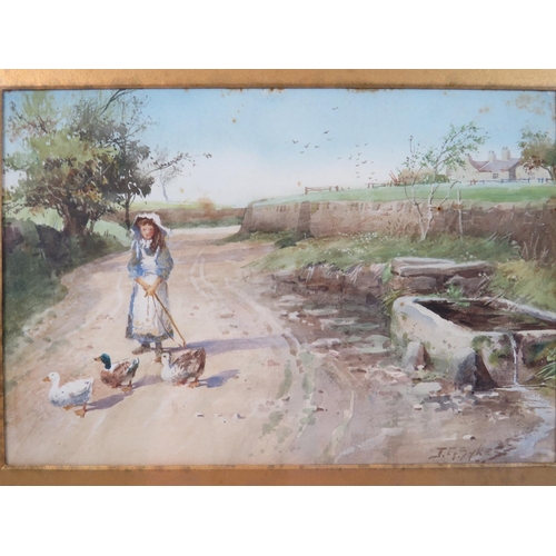 852 - Framed and mounted under glass 19th Century watercolour in gilt frame. 'Rounding up the Ducks' signe... 