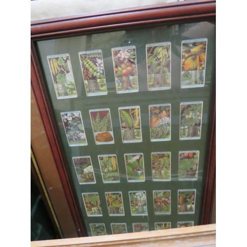 866 - Selection of interesting framed under glass prints to include Parisienne and Egyptian studies plus f... 