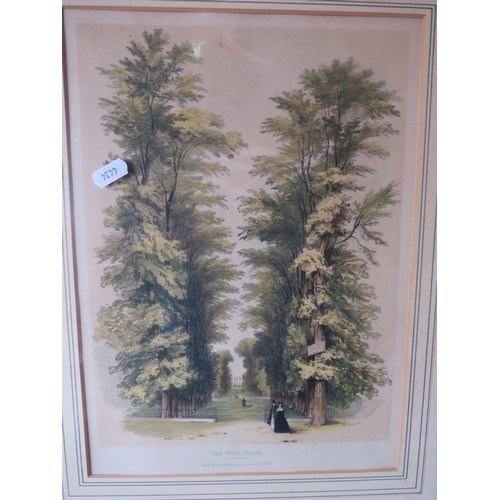 1039 - Pair of Early Arborial/Architectural Lithographs, G Rowe framed and mounted under glass plus 'Interi... 