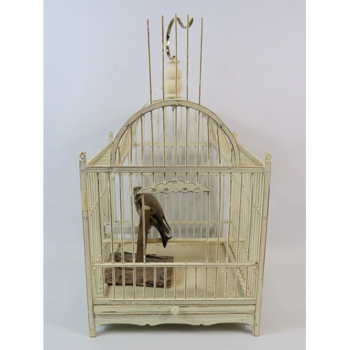 55 - Taxidermy Gold Finch bird in a wooden cage the cage measures 13