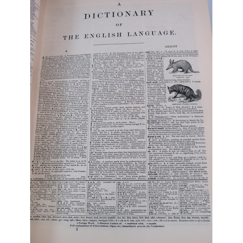 457 - 1911 Websters new International dictionary, 2 x H G Wells history books and Rhinds vegatable kingdom... 