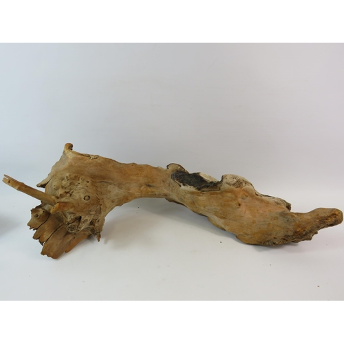 591 - Piece of drift wood which measures 24