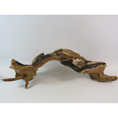 591 - Piece of drift wood which measures 24