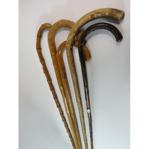 650 - 5 Vintage walking sticks.