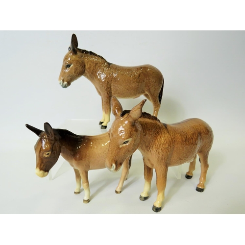 24 - Selection of Beswick Donkeys. All free from damage. See photos.