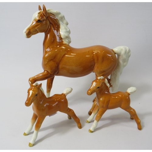 33 - Beswick Prancing Arab Palomino 1261 along with two Palomino foals (one with minor chip to ear) see p... 